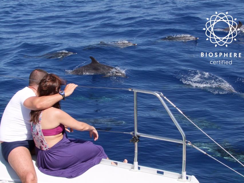 Funchal: Cabo Girão, Wines Tasting and Dolphins Watching - Why This Madeira Day Works: Jeep Views, Wine, and Sea Life