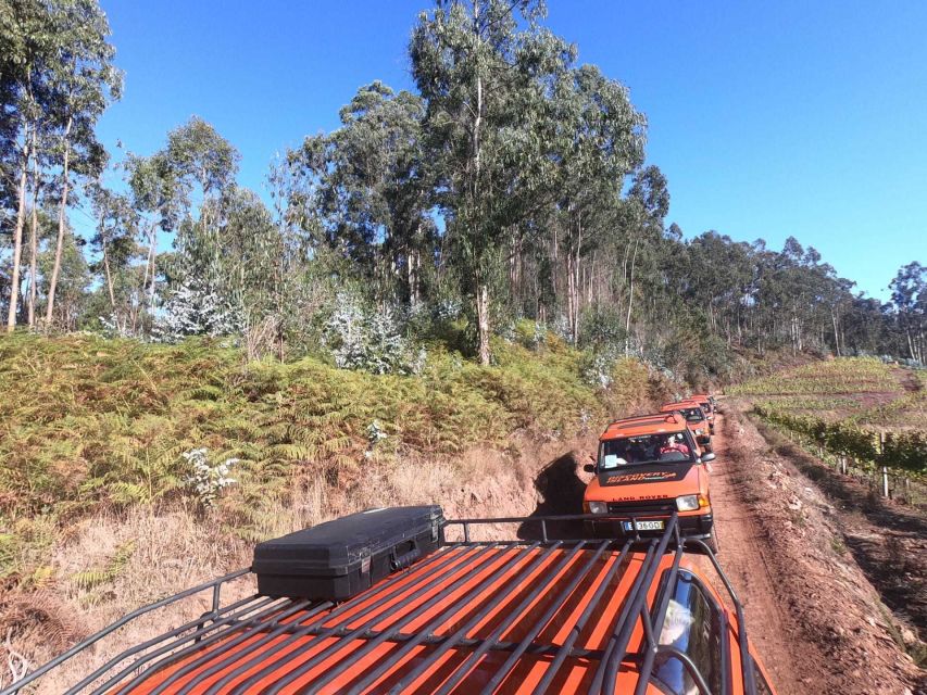 Funchal: Câmara Lobos & Girão Sea Cliff Half-Day Jeep Tour - Quick take: what stands out on this jeep route