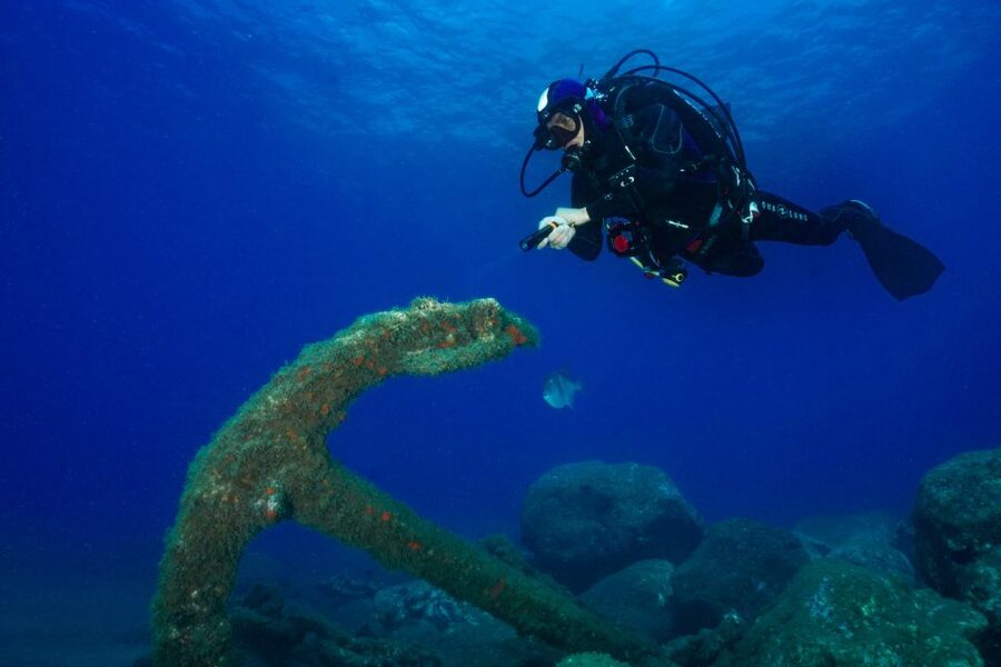 Funchal: Certified Scuba Diving, Guided Tour - Key reasons this Funchal scuba session feels worth it