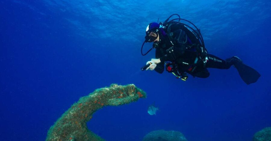 Funchal: Certified Scuba Diving, Guided Tour - Booking this in Funchal: should you go for it?