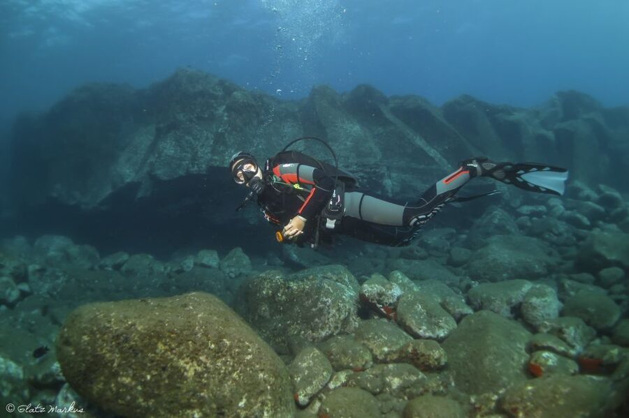 Funchal: Certified Scuba Diving, Guided Tour - Eco Park Funchal: why this protected shoreline is a smart pick