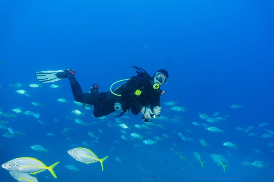 Funchal: Certified Scuba Diving, Guided Tour - Who should book this certified scuba session, and who should skip it
