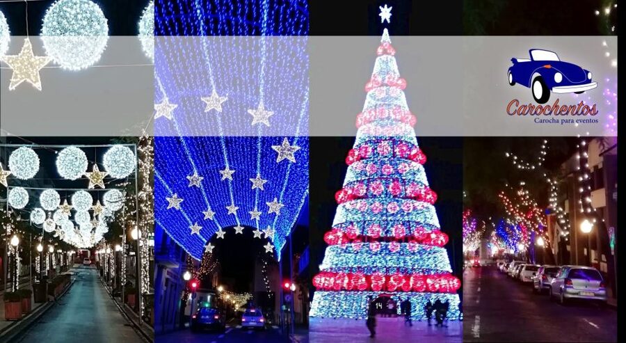 Funchal: Christmas Lights Sightseeing Night Tour - Should you book the Christmas Lights Sightseeing Night Tour?