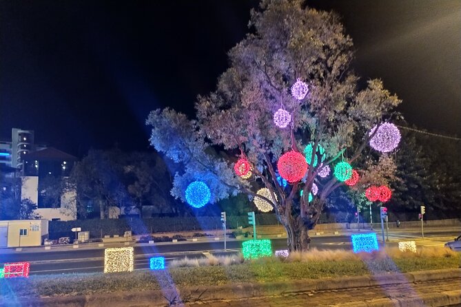 Funchal Christmas lights sightseeing night tour - The value question: why $42.24 can make sense