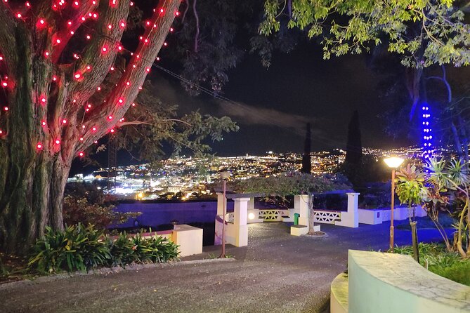 Funchal Christmas lights sightseeing night tour - Your driver: local storytelling in a vintage car