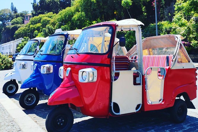 Funchal City Tour + Old Town - The Island Market Stop: Fruits, Flowers, and Fish