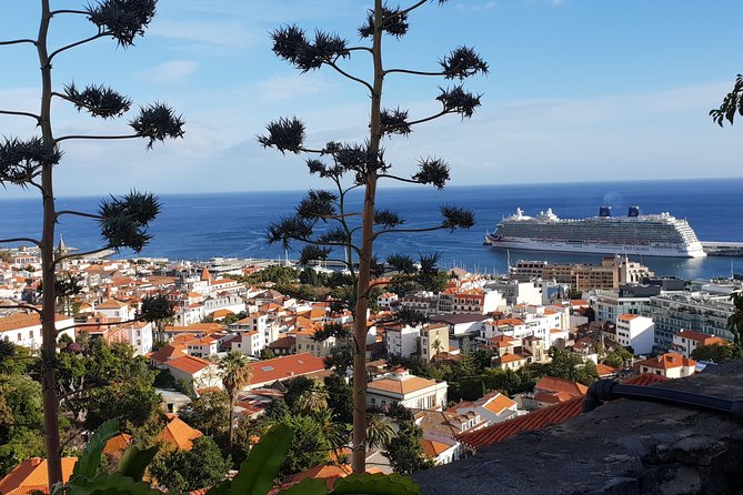 Funchal City Tour + Old Town - Painted Old Town Streets: Where the Restaurants Sneak Up on You