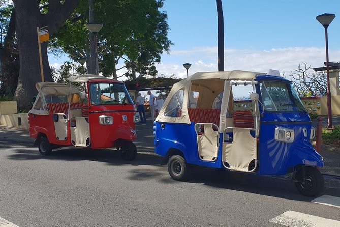 Funchal City Tour + Old Town - Guides on This Route: What You Can Hope For (Names Included)