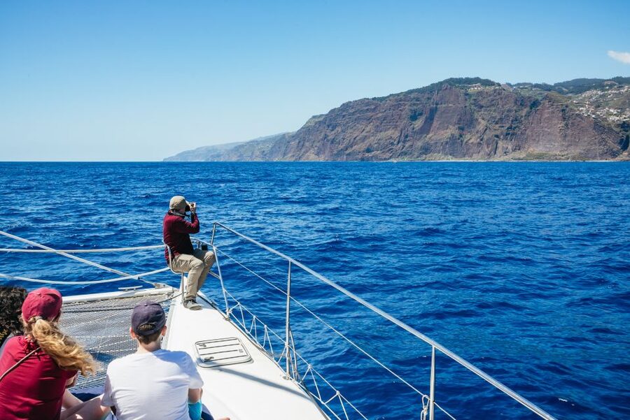 Funchal: Dolphin and Whale Watching by Luxury Catamaran - Who This Tour Fits Best, and Who Might Want Another Option