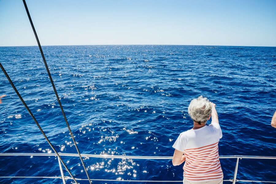 Funchal: Dolphin and Whale Watching by Luxury Catamaran - Pier 8 in Funchal Marina: Meeting Point and Getting On Board Smoothly