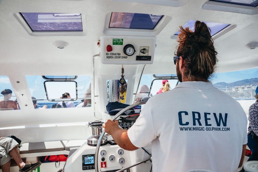 Funchal: Dolphin and Whale Watching by Luxury Catamaran - Cabo Girão Stop: The Sea-Cliff Swim Option and the July-August Timing Change