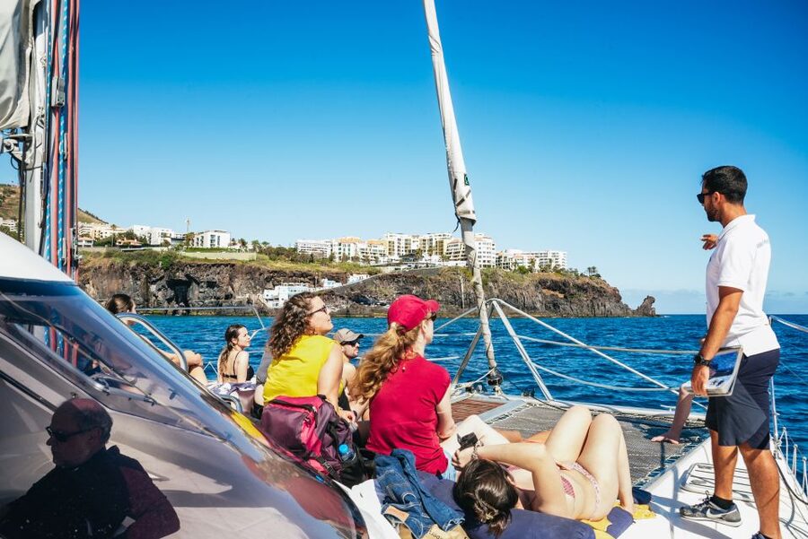 Funchal: Dolphin and Whale Watching by Luxury Catamaran - How the Crew Runs the Hunt: Finding Action Without Making It Chaotic