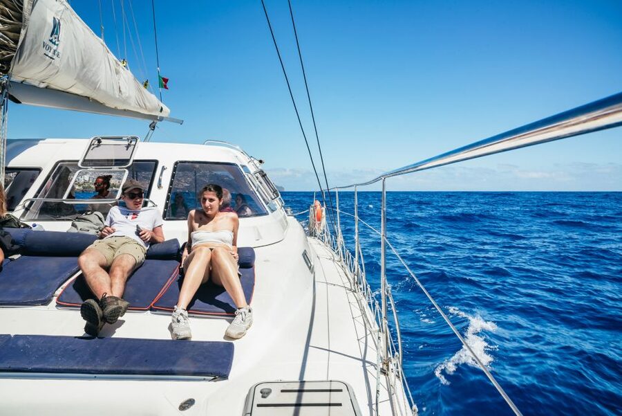 Funchal: Dolphin and Whale Watching by Luxury Catamaran - Food, Drinks, and Onboard Rules That Keep Things Relaxed