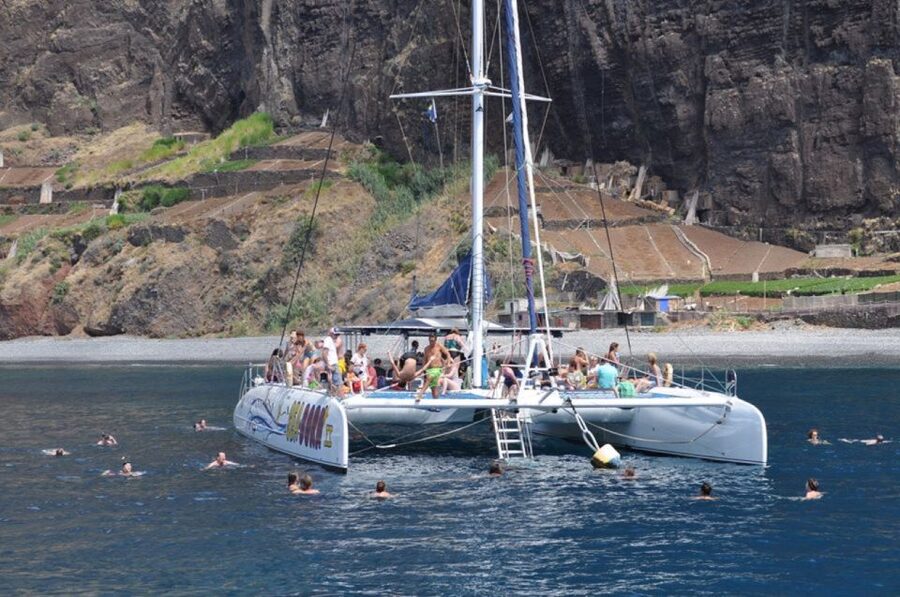 Funchal: Dolphin and Whale Watching Catamaran Cruise - The swim stop (summer) or snorkeling chance (other seasons)