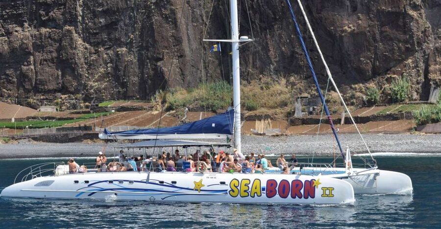 Funchal: Dolphin and Whale Watching Catamaran Cruise - Onboard comfort, the bar, and how the crew keeps it safe