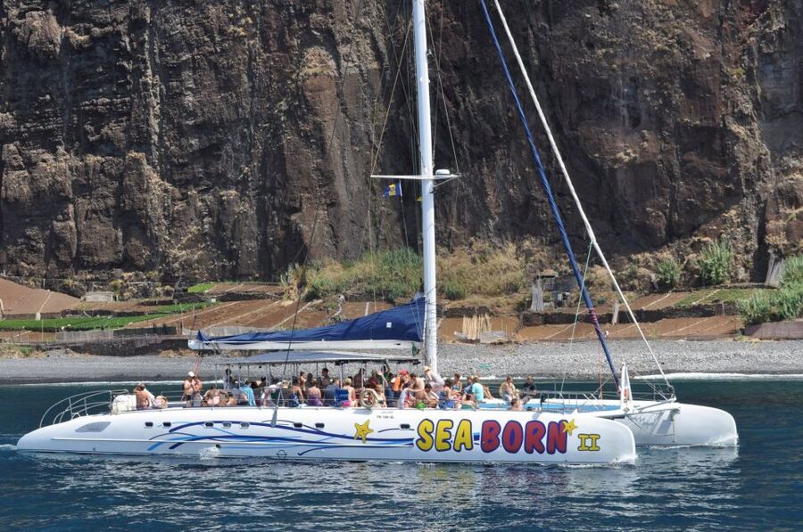 Funchal: Dolphin and Whale Watching Catamaran Cruise - Price and value: is $41 for 3 hours a fair deal?