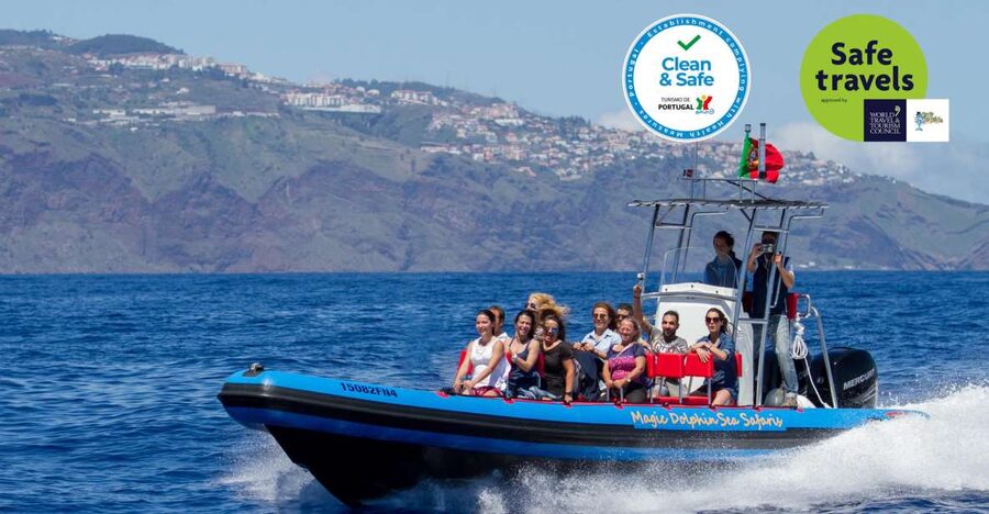 Funchal: Dolphin and Whale Watching Cruise - Getting To Magic Dolphin and What Happens Before You Go