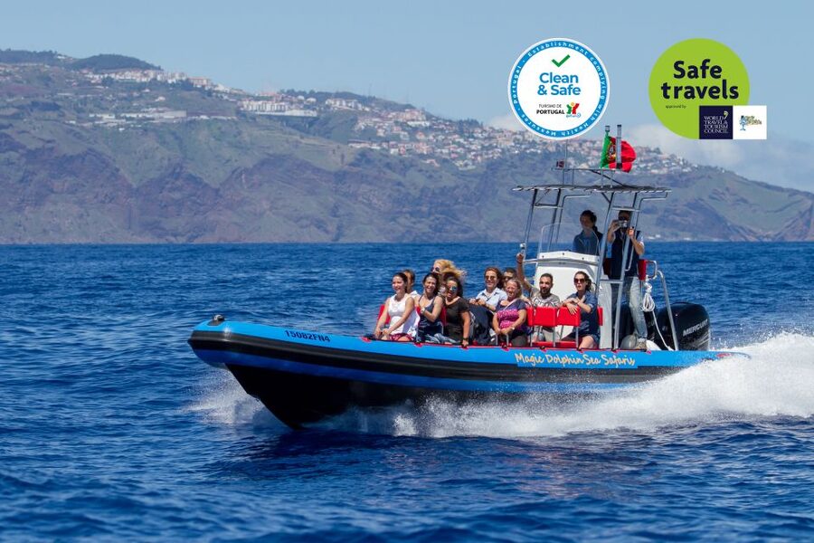 Funchal: Dolphin and Whale Watching Cruise - How You Get Wildlife: Land Spotters, Then a Direct Route