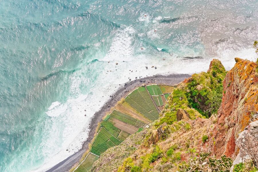 Funchal: Dolphin and Whale Watching Sailing Trip - Quick Takeaways Before You Go