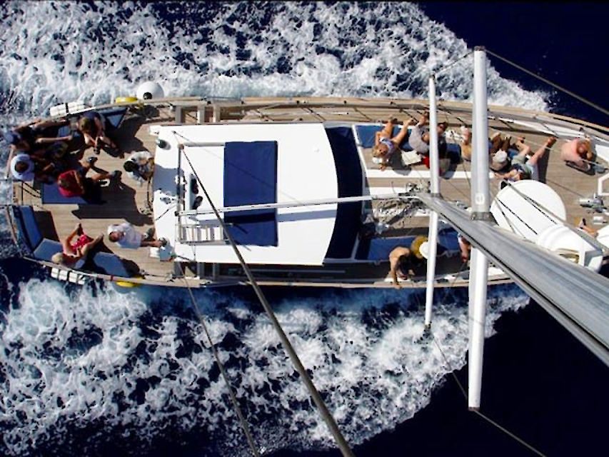 Funchal: Dolphin and Whale Watching Sailing Trip - Should You Book This Funchal Dolphin and Whale Watching Sailing Trip?
