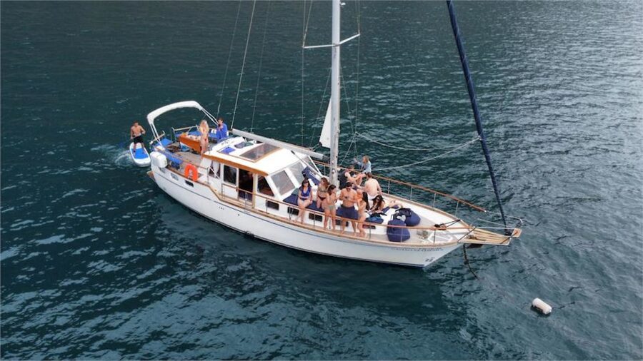 Funchal: Dolphin and Whale Watching Sailing Trip - Meeting Praça do Povo and Getting Out on the Water Fast