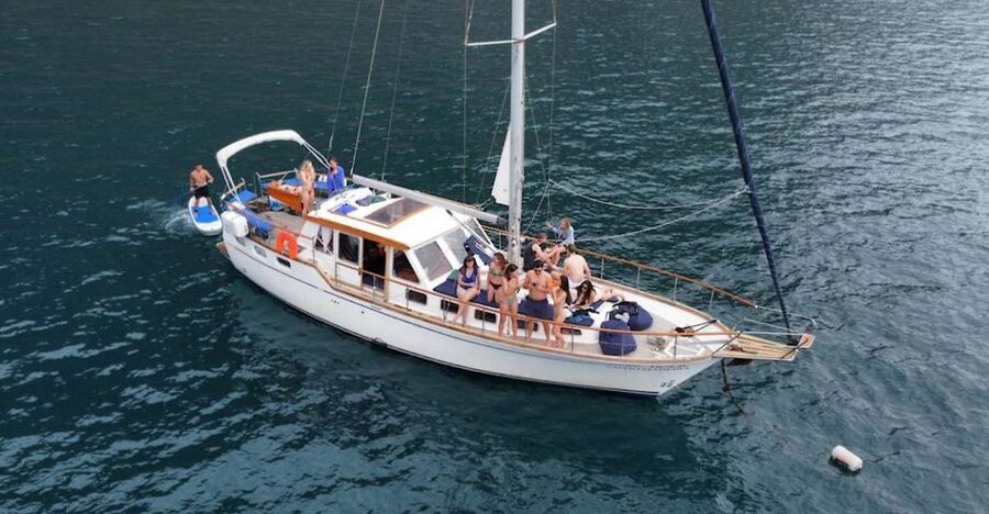 Funchal: Dolphin and Whale Watching Sailing Trip - How Dolphin and Whale Spotting Feels When You Are Not Chasing