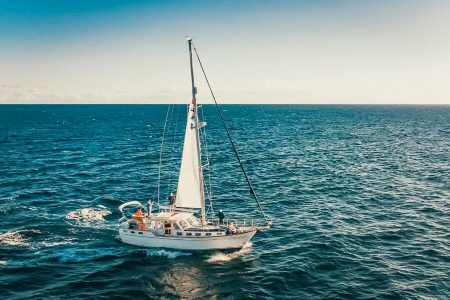 Funchal: Dolphin and Whale Watching Sailing Trip - The Snorkel Stop at Cabo Girão: Where the Trip Turns Hands-On