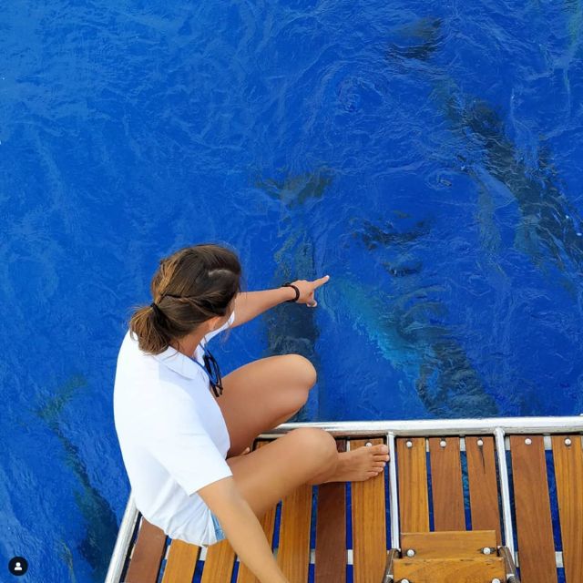 Funchal: Dolphin and Whale Watching Sailing Trip - Cabo Girão Views Plus a Wildlife-First Cruise