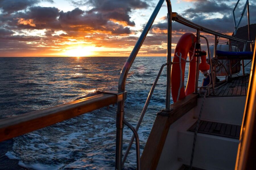 Funchal: Dolphin and Whale Watching Sunset Sailing Tour - Key Highlights You Should Know Before You Go