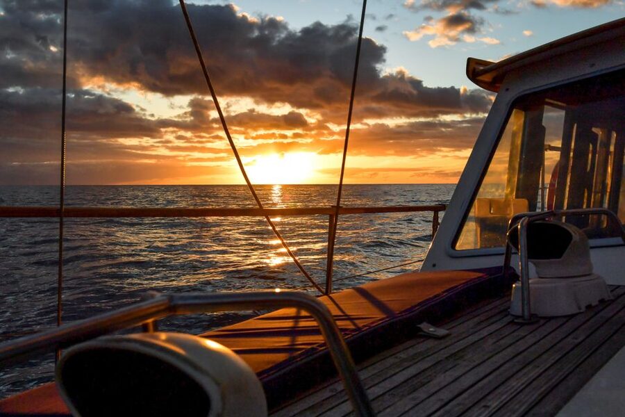 Funchal: Dolphin and Whale Watching Sunset Sailing Tour - What the First Hour Feels Like, Wildlife Scanning Off Funchal
