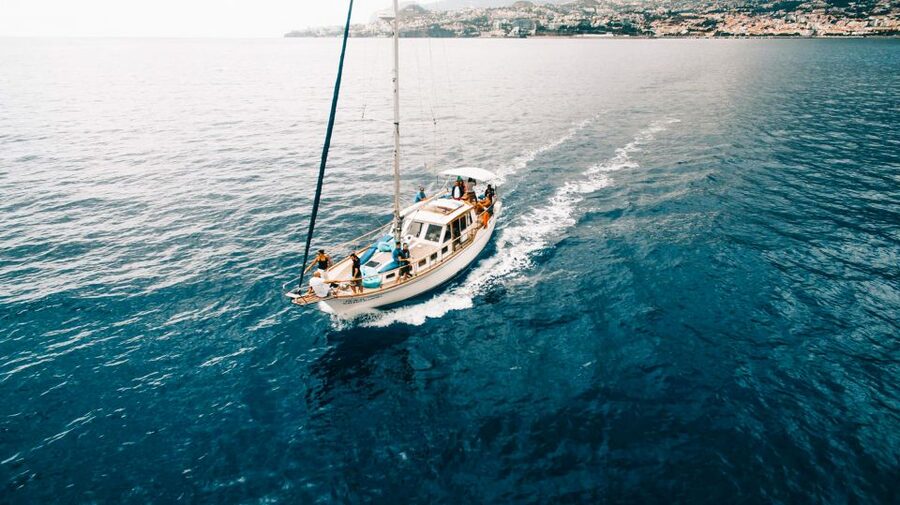 Funchal: Dolphin and Whale Watching Sunset Sailing Tour - Why Cabo Girão Is the Real Showstopper Stop