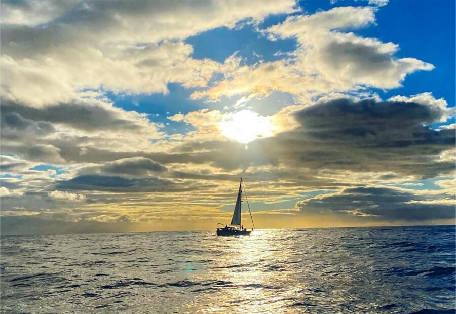 Funchal: Dolphin and Whale Watching Sunset Sailing Tour - Crew Energy, Guide Style, and Respect for Wildlife