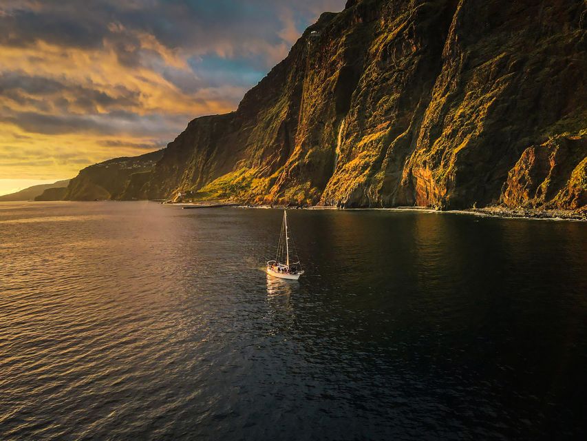 Funchal: Dolphin and Whale Watching Sunset Sailing Tour - Sea Conditions and Motion Sickness, Plan Your Comfort