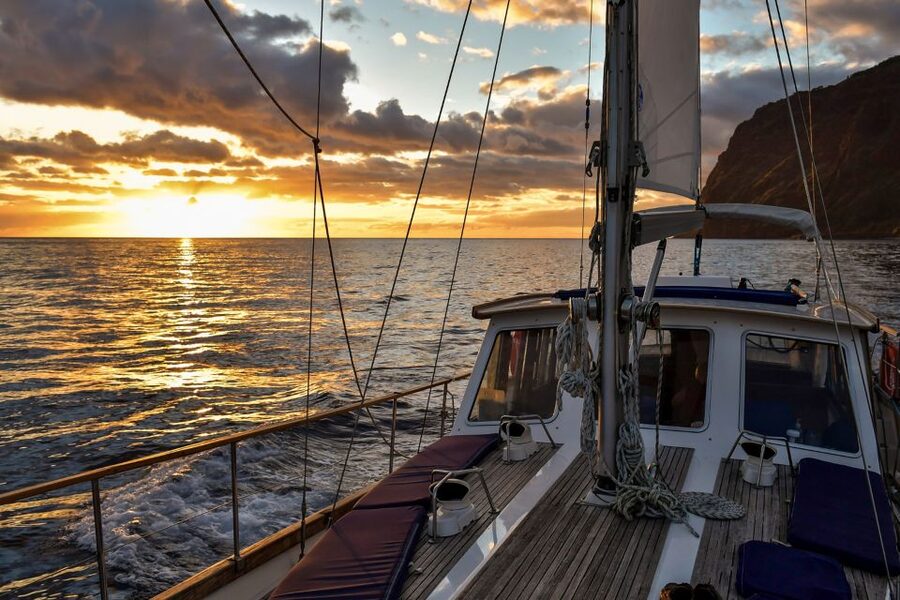 Funchal: Dolphin and Whale Watching Sunset Sailing Tour - What’s Included, What to Bring, and What’s Not Allowed