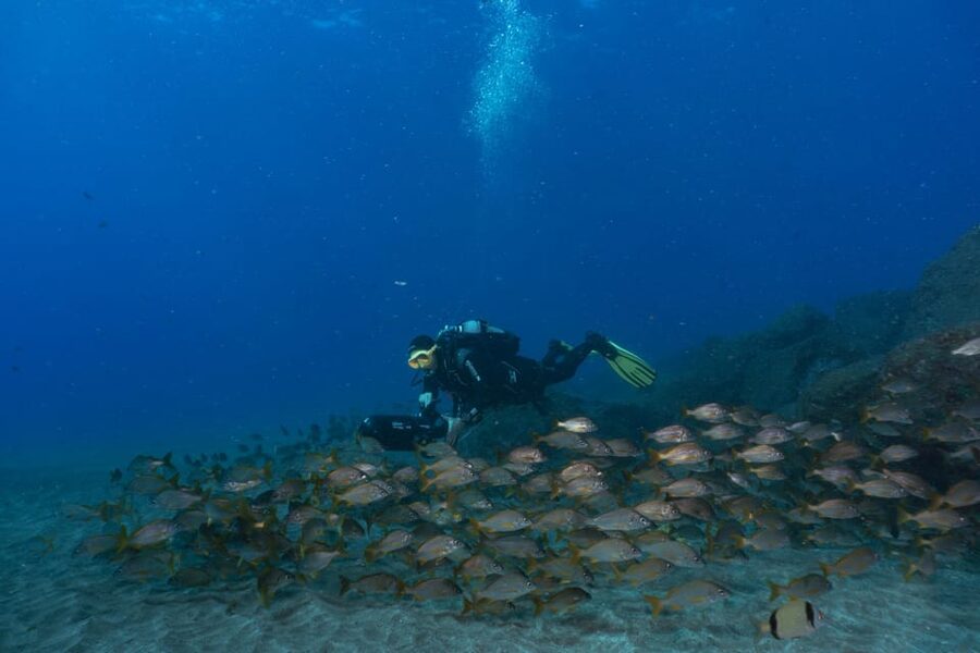 Funchal: DPV- Scooter Dive Adventure - What to bring so you do not lose time (or get turned around)