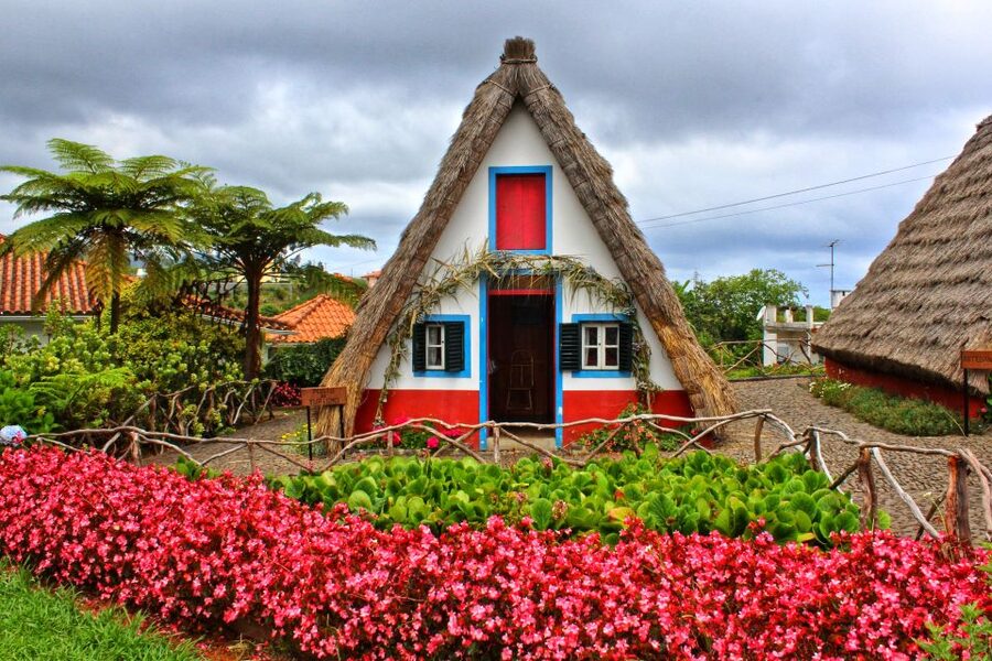 Funchal: East Madeira Island Guided Tour & Laurissilva Walk - How the day stays balanced: timing that avoids the all-day grind
