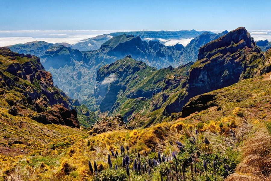 Funchal: East Madeira Island Guided Tour & Laurissilva Walk - The East Madeira route that makes a one-day plan feel easy
