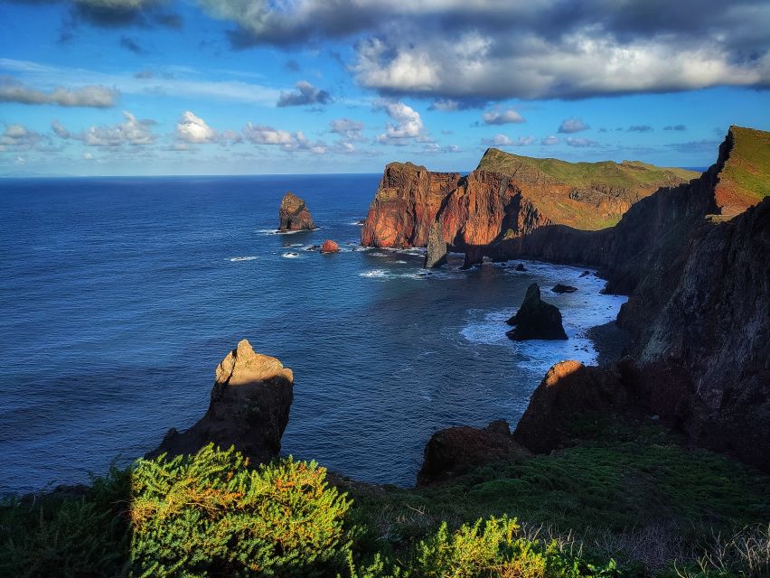 Funchal: East Madeira Island Guided Tour & Laurissilva Walk - Ribeiro Frio lunch plus a Levada walk through the Laurissilva feel