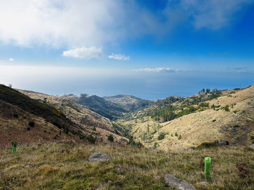 Funchal: East Madeira Island Guided Tour & Laurissilva Walk - Santana village time: triangular thatched houses and slow wandering