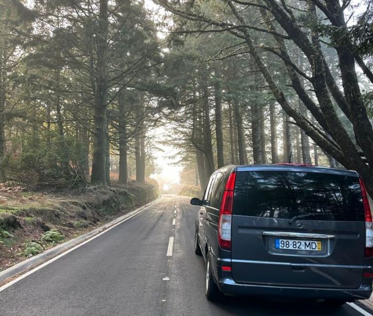 Funchal: East Madeira Island Guided Tour & Laurissilva Walk - Pickup in Funchal, then straight into mountain roads