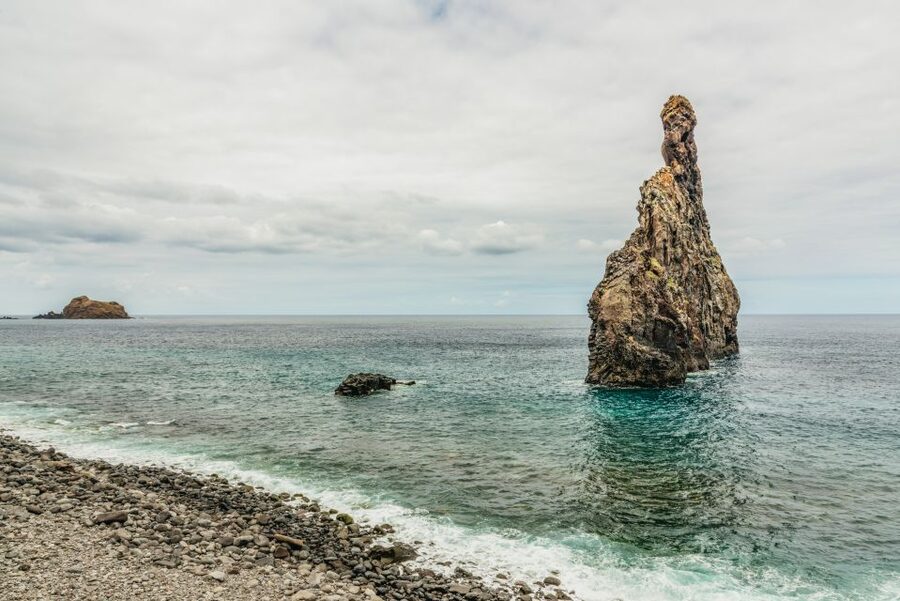 Funchal: Enchanted Terraces, Porto do Moniz & Fanal 4WD Tour - Fanal Forest and Laurisilva Walking Time: The Part I Wouldn’t Skip