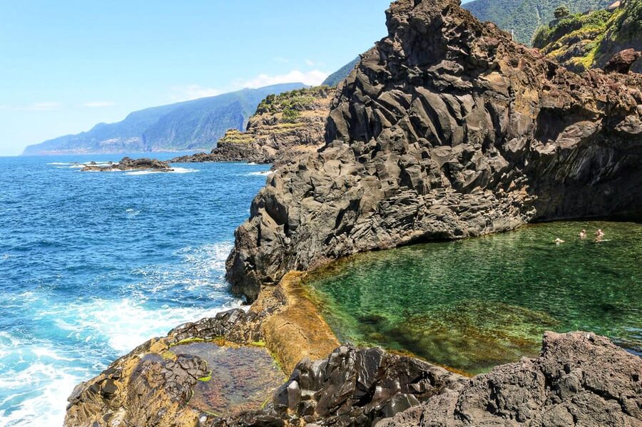Funchal: Enchanted Terraces, Porto do Moniz & Fanal 4WD Tour - Secret Stops, Viewpoints, and the Joy of Narrow Roads
