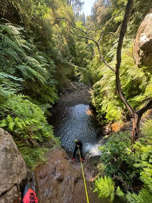 Funchal: Explore Canyoning Level 1 Rochão - Key highlights at a glance