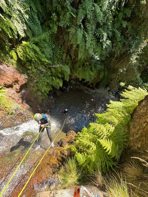 Funchal: Explore Canyoning Level 1 Rochão - Caminho do Rochão: what you will do during the guided descent