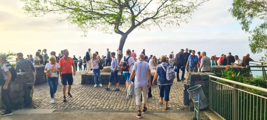 Funchal: Family Madeira Island Tour - The Funchal-to-Madeira Idea That Actually Works for Families
