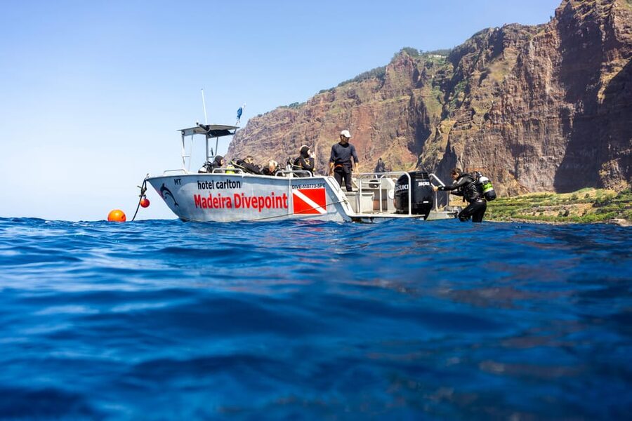 Funchal: Garajau national park - certified divers - After the water: hot shower, logbook stamps, and marine life viewing time