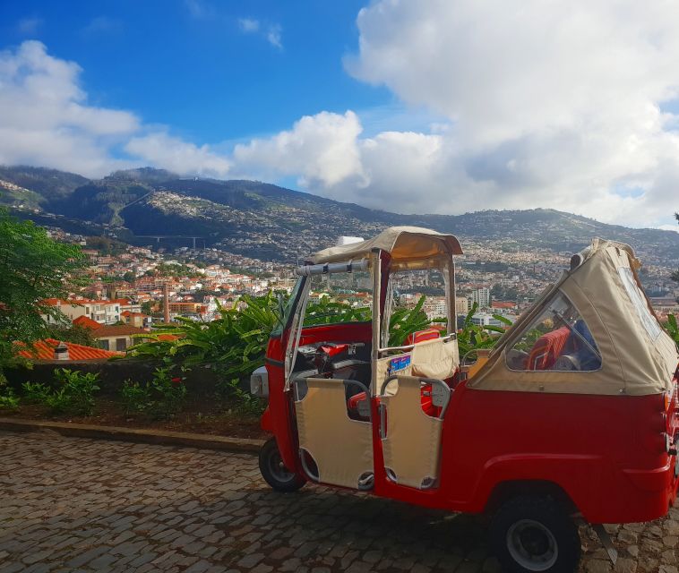Funchal: Guided City Tuk-Tuk Tour - Fortaleza de São João Baptista do Pico: city views and a short walk you can handle