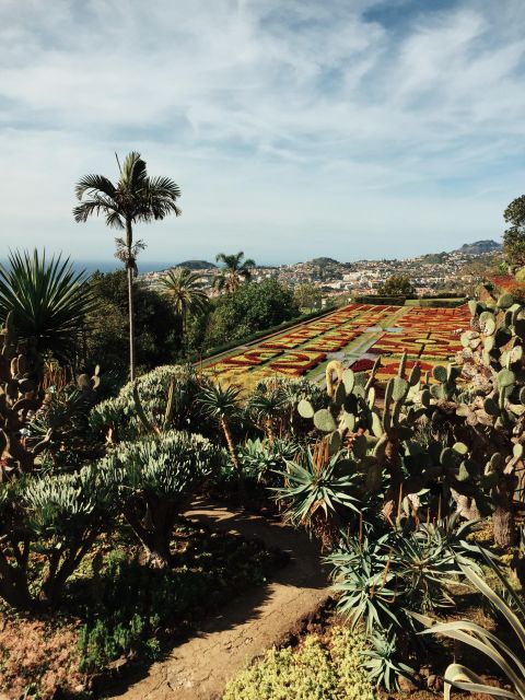 Funchal: Guided Old Town Tuk Tuk Tour and Botanical Gardens - Key highlights worth knowing