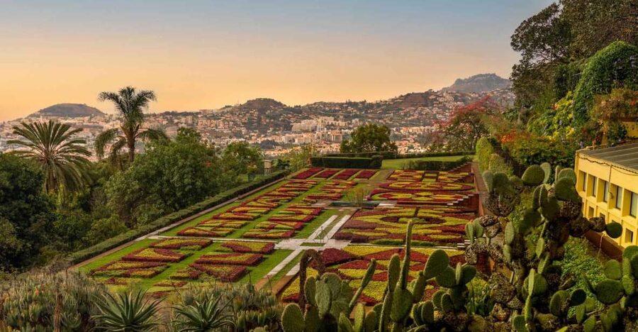 Funchal: Guided Old Town Tuk Tuk Tour and Botanical Gardens - Learning the Portuguese Madeira story while the scenery changes