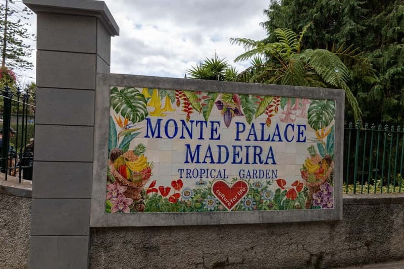 Funchal: Guided Tuk Tuk Tour to Toboggan Rides & Old Town - Marmeleiros viewpoint stop: the best payoff for quick driving time